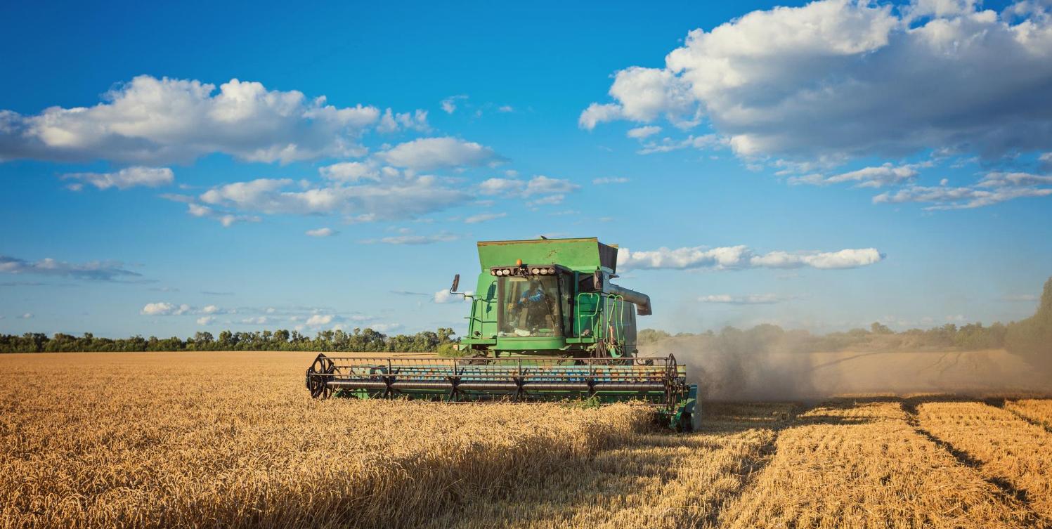 В России сбор зерна с начала года составил 119 млн тонн