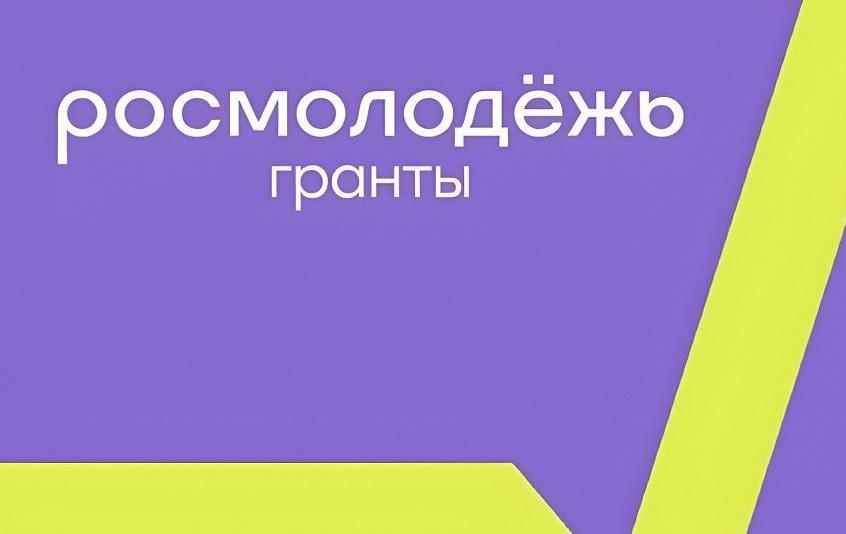 Чернышенко: победители конкурса «Росмолодежь. Гранты» получат до 1 млн рублей